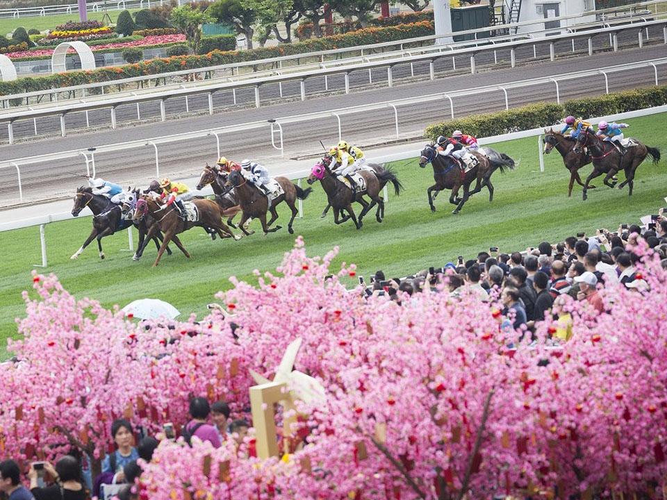 Sha Tin Racecourse