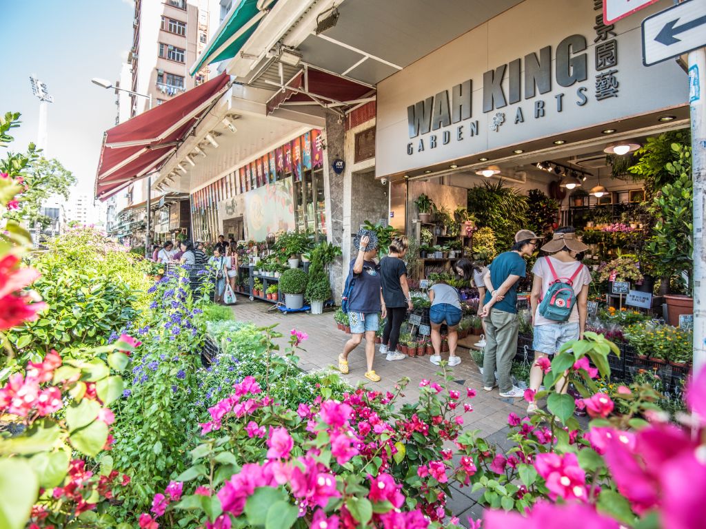 Flower Market