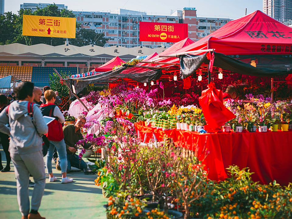 Chinese New Year flower markets