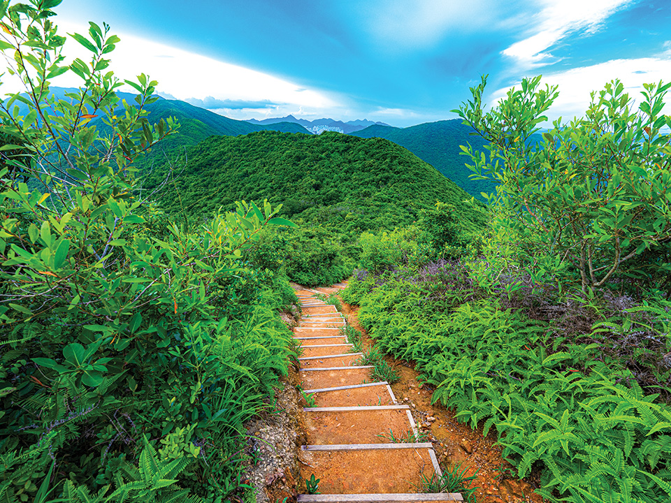 Hiking trail at Pottinger Gap