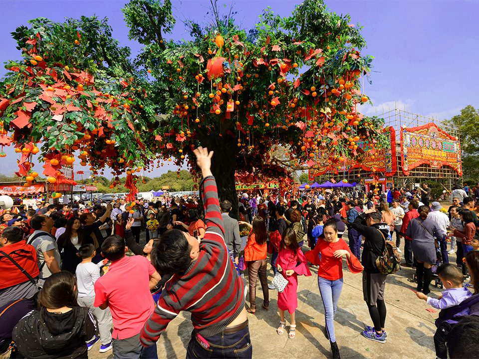 Wish upon a tree at Lam Tsuen Village